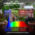 thumbnail image 5 of Barrina LP750 Indoor Greenhouse with Grow Light 5-Tier Plant Stand with Light 140W TX-S35 2FT 5000K Full Spectrum Plant Shelf with Tent Timer & Thermometer for Seed Tray Growth 29.5 x 13.8 x 70.9IN, 5 of 9