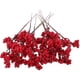 thumbnail image 4 of 20 PCS Simulación de Navidad Berry Branch Decoración DIY Organización floral Arry Branch Decor, 4 of 8