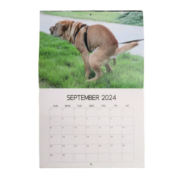 2024 Wall Calendar 2024 Funny Wall Calendar 12 Month Decorative Pooping