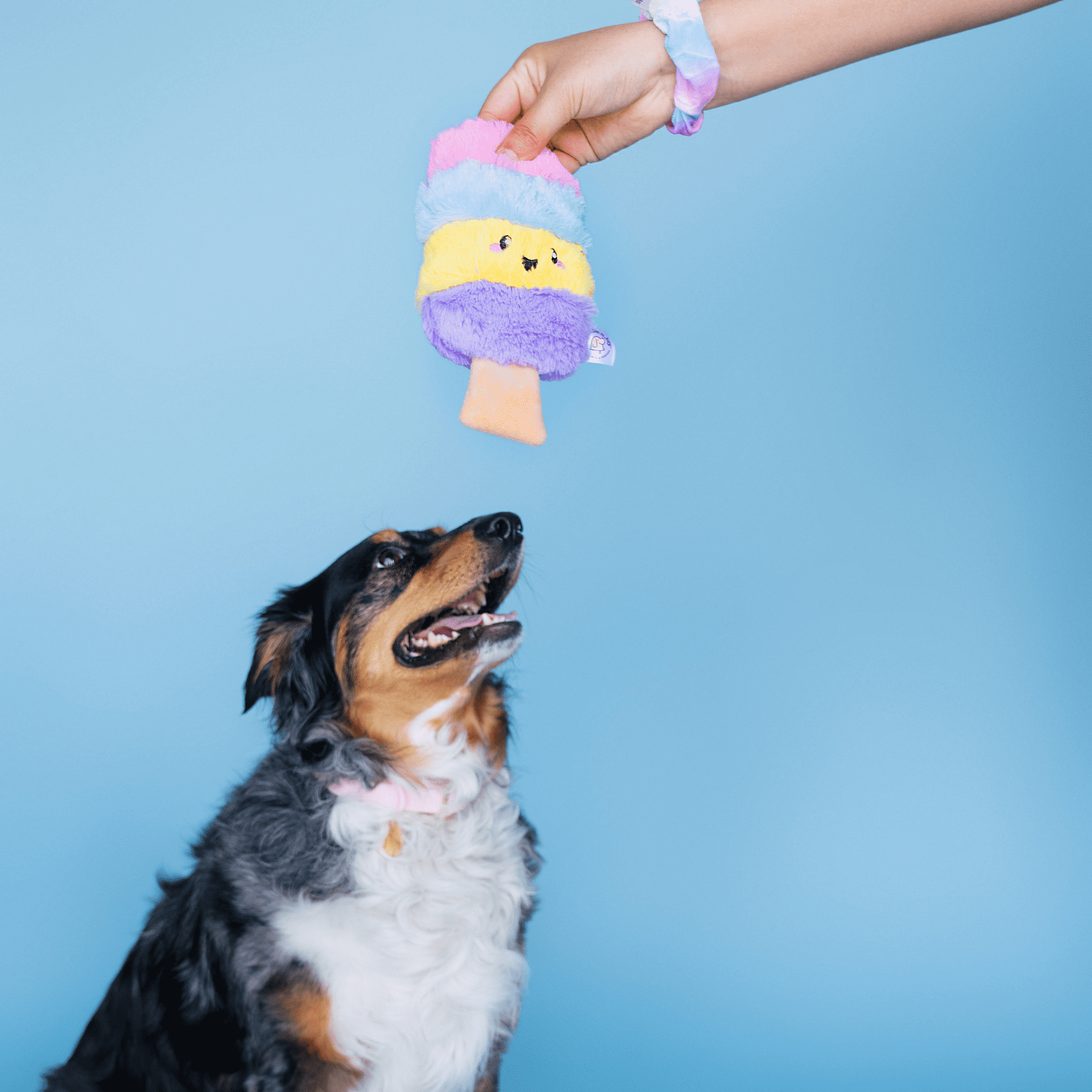 Bundle x Joy Poppin Popsicle Plush for Dogs with Squeaker, Crinkle & Softness for Added Joy