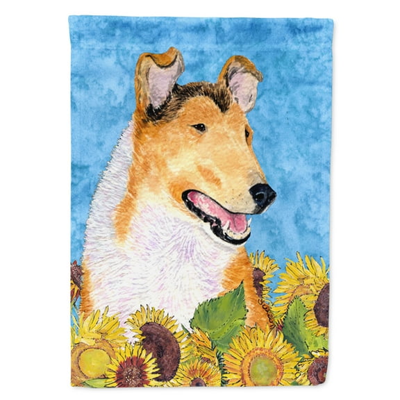 Caroline's Treasures SS4239-FLAG-PARENT Collie Smooth Flag, , multicolor
