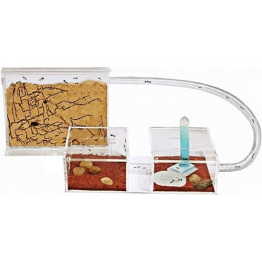 Sand Ant Farm Mini - Formicarium