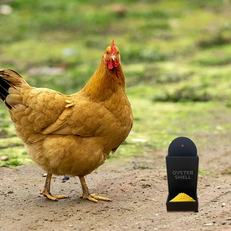 Refillable Dog Bowl Pig Enrichment Animal Water Cat Automatic