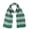 Green and Gray, variant on Fall Winter Ultra Soft Knit Striped Scarf for Women Men Boys Girls Halloween Wizard Costume Yellow Black