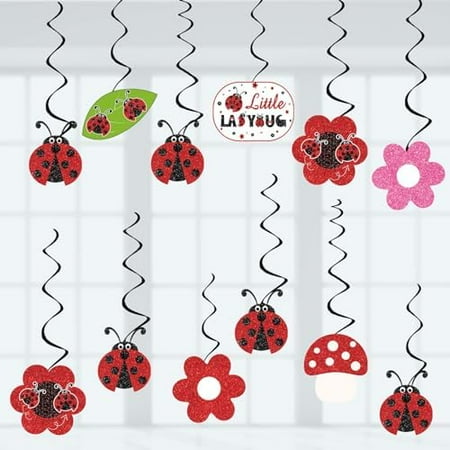 24PCS Ladybug Birthday Party Decorations - Insect Theme Hanging Swirls, Pre-Assembled Ready to Use, Flower Streamers Banner for Baby Shower Birthday Supplies | Electronics Accessories
