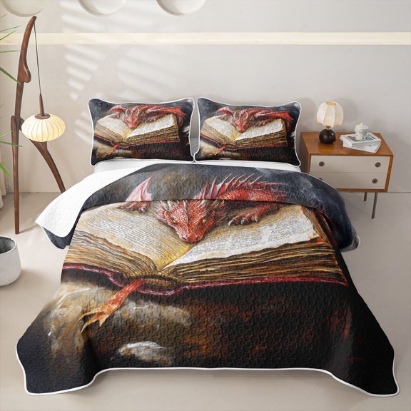 Homewish Vintage Dragon Twin Quilt Set,Magic Book Twin Coverlet Set For Kids Boys,2 Pieces