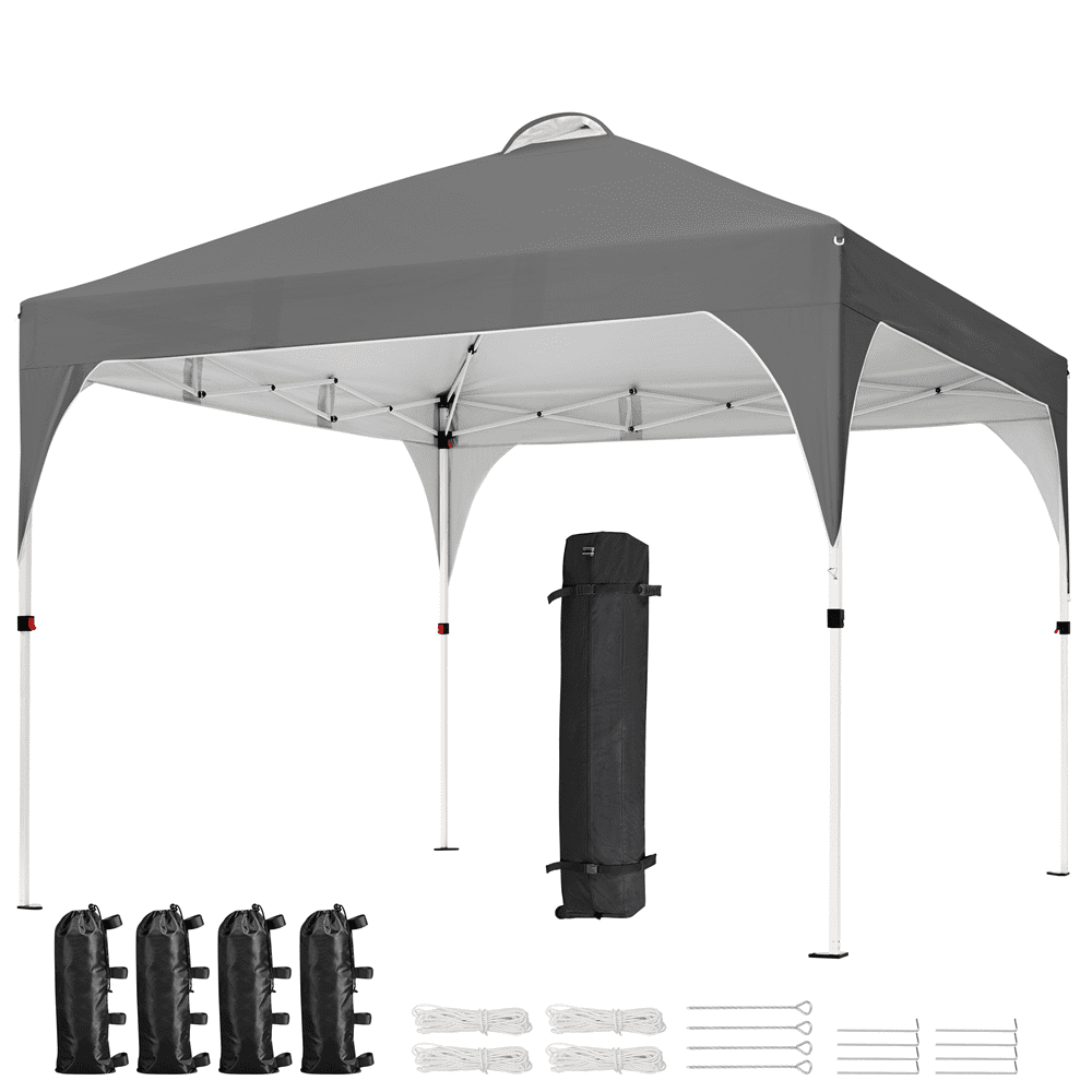 Alden Design Outdoor Canopy Tent with Stakes Ropes Sandbags Wheeled Bag for Patio, Dark Gray
