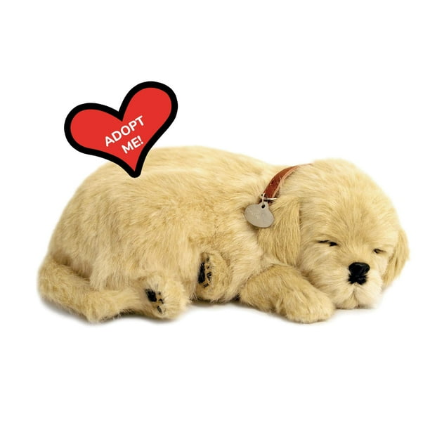 Juguete interactivo de peluche Perfect Petzzz Golden Retriever para mascotas