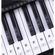 thumbnail image 3 of 88 llaves/set PVC transparente personal Musical Piano clave pegatina Piano teclado teclado pegatina Pr, 3 of 12