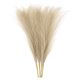 thumbnail image 1 of 4 Paquetes de Hierba Pampas Falsa de 17 Pulgadas 6 Tallos Hierba Artificial para Decoración, Café Oscuro, 1 of 6