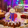 thumbnail image 4 of Christmas Decorations Outdoor Event & Party Christmas Lights Scarves Animals Outdoor Christmas Animals Led Christmas Lights Animals Outdoor Decorations Party Balloon, 4 of 5