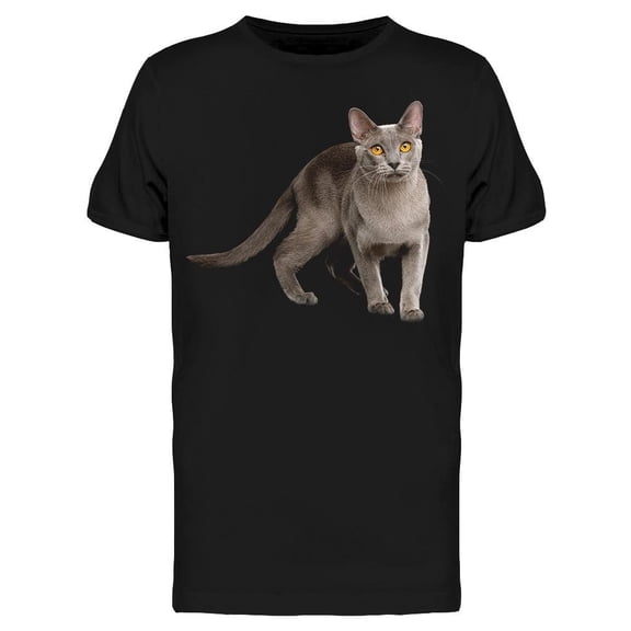 Beauty Cat Looking At The Camera Tee Men's -Image by Shutterstock Men's T-shirt