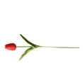 thumbnail image 2 of Inteprter Mini flor artificial, lirio único, tulipán, flor monarca, flor falsa de PU, decoración para el hogar y la Oficina, decoración para Flores artificiales rojo Inteprter HA6563-04B, 2 of 6