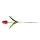 thumbnail image 3 of Bearachild Mini flor artificial, lirio único, tulipán, flor monarca, flor falsa de PU, decoración para el hogar y la Oficina, decoración para Flores artificiales rojo Bearachild HA6563-04B, 3 of 6