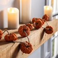 thumbnail image 2 of Evergreen Paper Rope Pumpkin Garland, Orange, 2 of 5