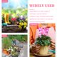 thumbnail image 3 of 12 unids 3D Dragonfly Garden Decor Simulation Dragonfly Stakes Garden Stakes, 3 of 6
