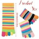 thumbnail image 3 of Calcetines Xtinmee de algodón para mujer y niña, 12 pares, 3 of 7