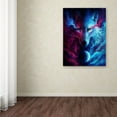 thumbnail image 3 of Trademark Fine Art 'Where Light and Dark Meet' Canvas Art by JoJoesArt, 3 of 3