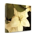 thumbnail image 2 of "Lily And Leaves" By Rebecca Swanson, Fine Art Giclee Print on Gallery Wrap Canvas, Ready to Hang, 2 of 3