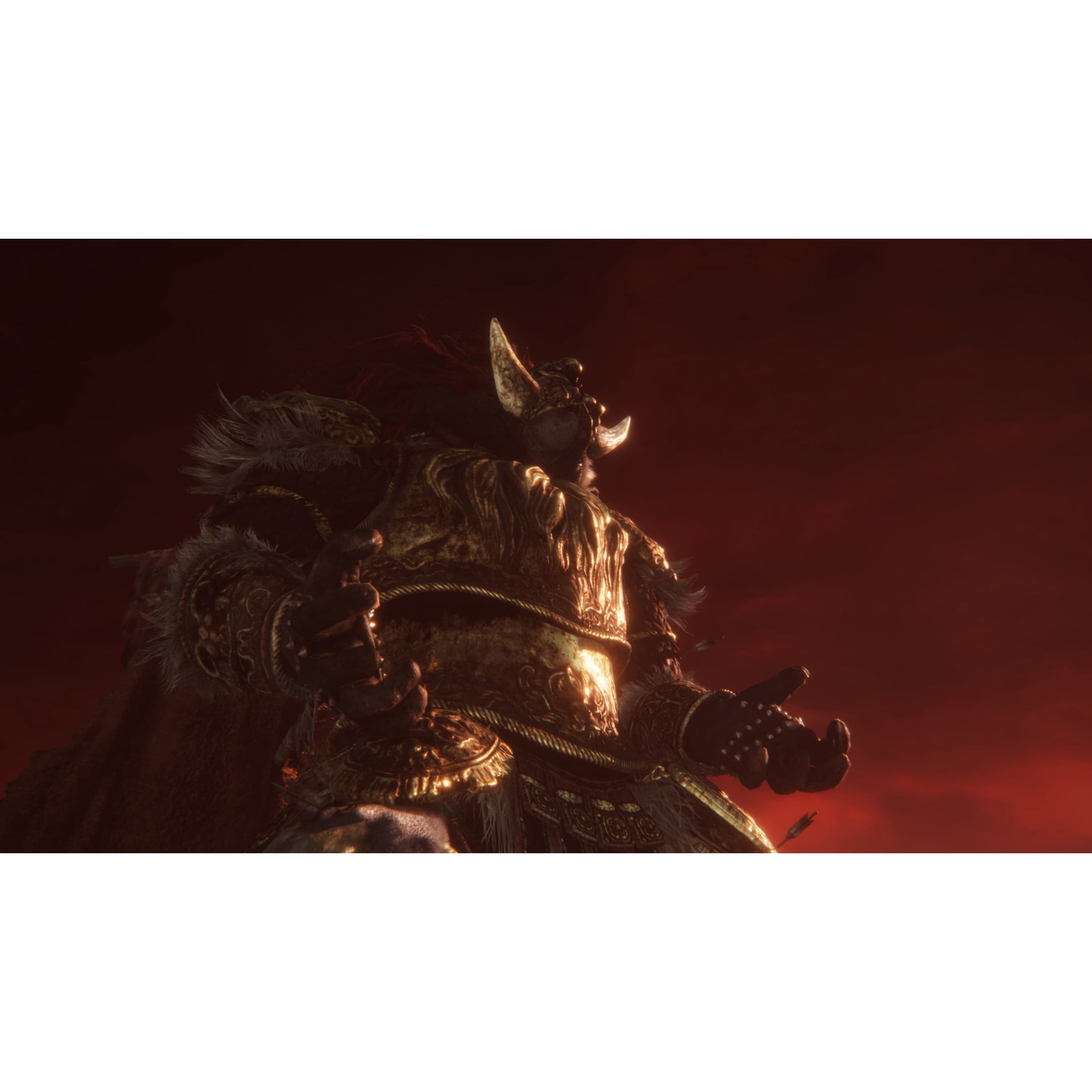 Elden Ring Tarnished Edition - Nintendo Switch 2 Game