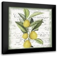 thumbnail image 1 of Sophie 6 15x15 Black Modern Framed Museum Art Print Titled - Citron III, 1 of 5