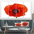 thumbnail image 1 of Red Poppy Blossom Close Up - Floral Canvas Art Print, 1 of 3