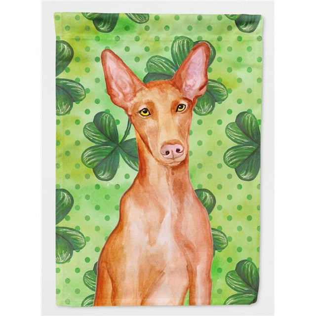 Carolines Treasures BB9889GF Pharaoh Hound Drapeau St.Patricks - Taille Jardin