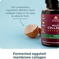 thumbnail image 5 of Ancient Nutrition Multi Collagen Advanced Lean with Probiotics, Hydrolyzed Collagen Peptides Supports Healthy Weight Loss and Fat Loss, 90 Count, 5 of 9