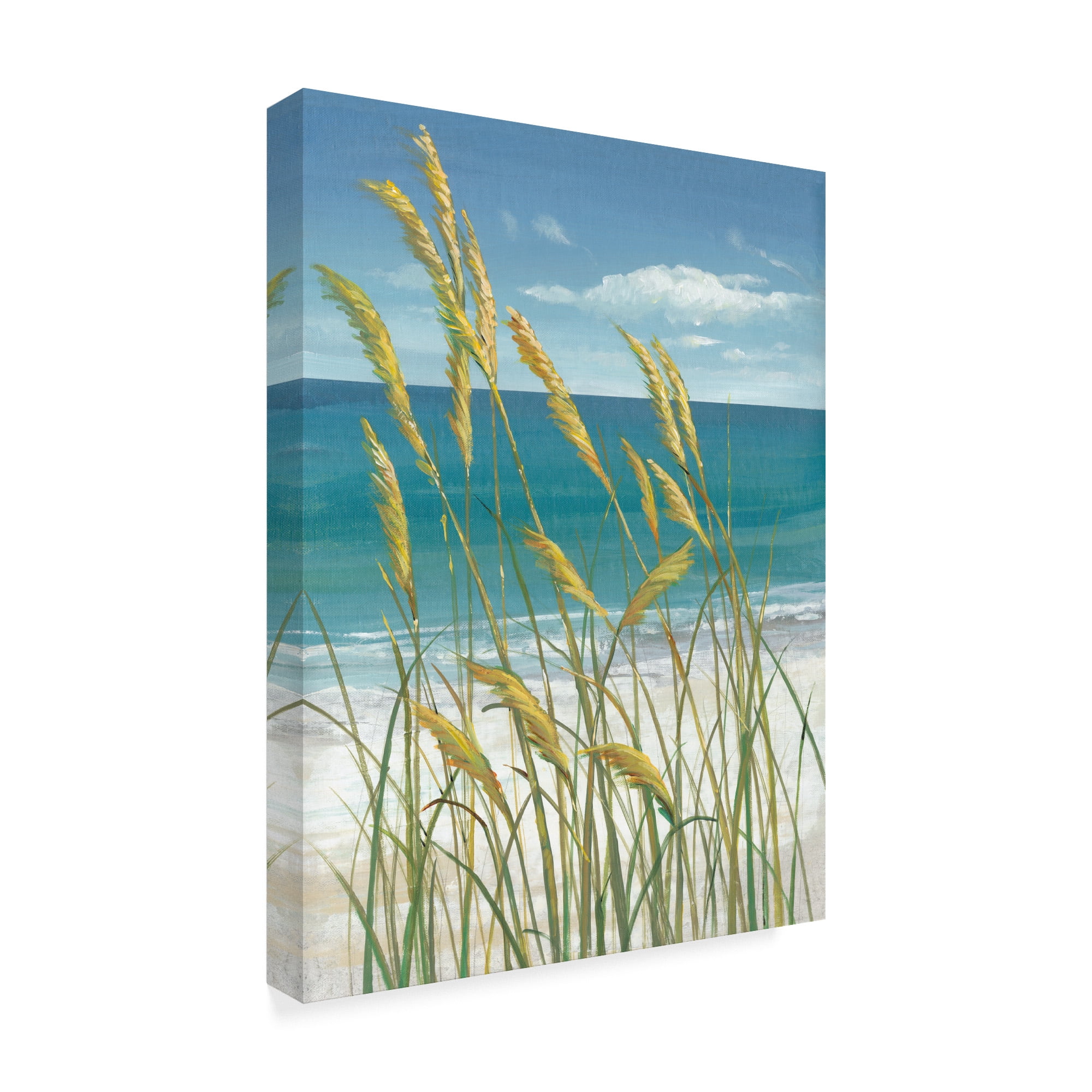 Trademark Fine Art 'UA CH Summer Breeze I' Canvas Art by Tim OToole