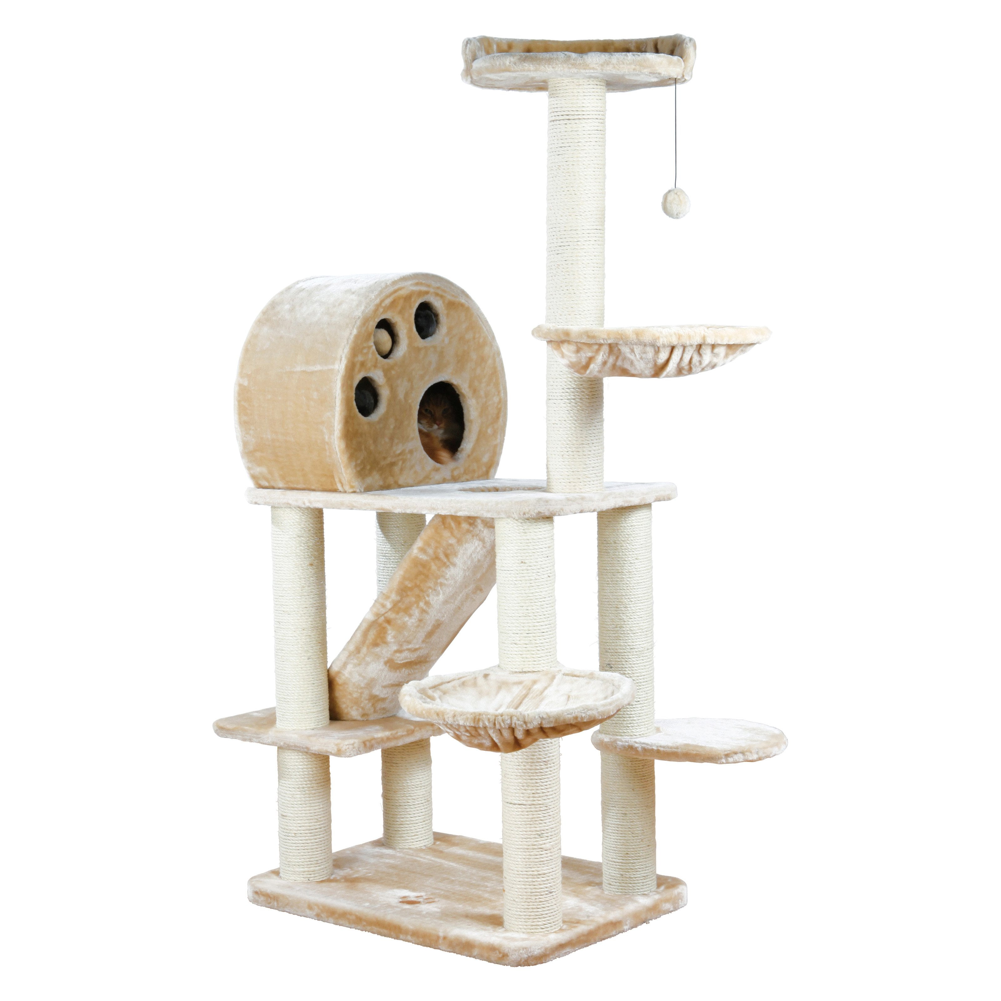 Allora Cat Playground