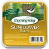 Morning Song Sunflower Suet