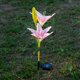 thumbnail image 4 of Lily Flower Solar Powered Lámpara led lámpara Decoración Libre Jardín Decoración Rosado Zulema Lily Ground Lights, 4 of 8