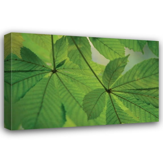 Vitaly Geyman 18x13 Gallery Wrapped Canvas Wall Art Titled - Chestnut Leaves Duet II Green