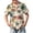 #A19-Ginger, variant on Abcomgle Boys Spring Shirts Tropical Floral Print Boys Beach Shirt Button Down Short Sleeve Vacation Boys Dress Shirt,Dark Green,7-8Years