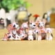 thumbnail image 1 of Figura de acción en miniatura de gato Chis para niños y adultos, figura de expresión de gatito bonito, modelo de decoración, juguetes para regalo, 9 piezas, 1 of 3