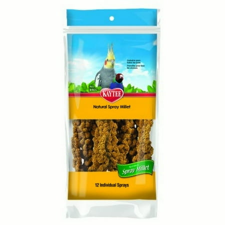 https://i5.walmartimages.com/asr/c4102ddf-b9b0-4fdf-a504-0a95cab1dad5_1.1c3d9c7f7da4b87e2747bf8765851adb.jpeg?odnHeight=450&odnWidth=450&odnBg=ffffff