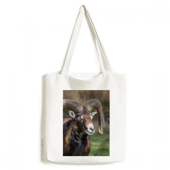 Sheep Forestry Science Nature Tote Canvas Bag Shopping Satchel Casual Handbag