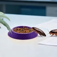 thumbnail image 3 of 12-Piece Feeding Tray & Dish Set for Terrariums and Micro-Landscapes | Designed for Millipedes, Small Invertebrates, and Miniature Pets.,F, 3 of 6