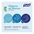 thumbnail image 2 of Gel antiseptico Purell Aloe 236 ml, 2 of 4