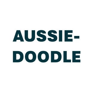 Aussiedoodle Pill Butter