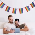 thumbnail image 5 of Bandera del Arco Iris Bandera de Cuerda del Orgullo LGBT - Pancartas para Pansexualidad, Bisexualidad, Orgullo Transgénero y Lésbico Gay, Decoración de Barras - 25 Banderas, 5 of 5