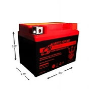 Skyhawk 50cc Mini Skyhawk YTX4L-BS(MF) SLA Powersport Replacement Battery by Neptune