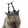 thumbnail image 3 of Pet Cats Funny Headwear Decorations Hats Photo Props, 3 of 3