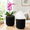 Black-5 inch, variant on Ceramic Swatering Pots For Indoor 6.4"&4" Cachepot White