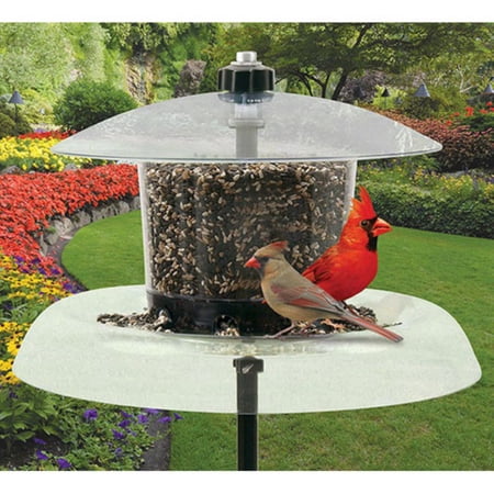 Droll Yankees The Jagunda Bird Feeder Without Auger Walmart Com