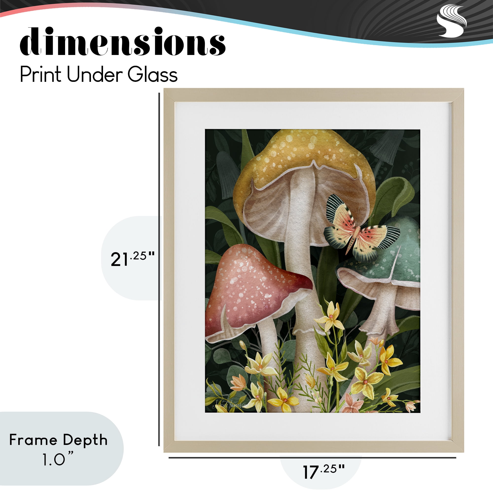 Stupell Industries Midnight Garden Mushrooms Birch Framed Print Under Glass, design by Nicole Tamarin