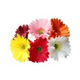 thumbnail image 4 of facefd Artificial Chrysanthemum Bundle Simulation Flower PU Floral Decor artificial Flower Bundle Home Decor, Mixed Color, 4 of 4