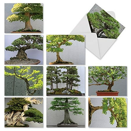 'M2307 TINY TREES' 10 Assorted Thank You Greeting Cards Featuring Images of Bonsai Trees with Envelopes by The Best Card (Best Type Of Bonsai Tree)