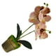 thumbnail image 4 of Flor de orquídea en maceta artificial Simulación de tela de decoración floral Orquídea falsa con maceta, Champán Monstrate HA7708-02B, 4 of 6