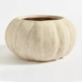 thumbnail image 5 of Halloween Rustic Resin Pumpkin Shaped Planter Pot, Decorative Indoor Outdoor Flower Succulent Container, Cream Finish, 5 of 8